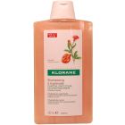 Klorane Champú a la Granada 400 ml