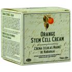 Mi Rebotica Crema Células Madre de Naranja