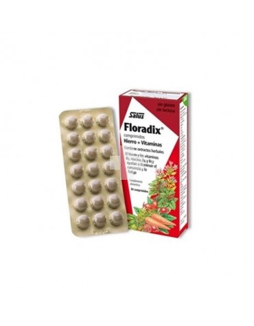 Floradix 84 comprimidos. 