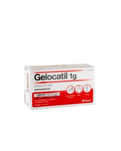 Gelocatil 1 g solucion oral 10 sobres