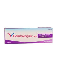 DERMOVAGISIL PICOR 20mg/g CREMA VAGINAL, 1 tubo de 20 g