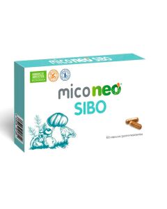 MicoNeo SIBO – Suplemento Natural para la Salud Intestinal