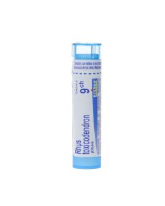 Rhus toxicodendron boiron c9 glóbulos 1 envase 4 g