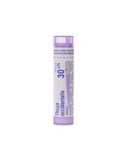 Thuya occidentalis boiron c30 glóbulos 1 envase 4 g